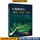 生命 社9787547831960 译上海科学技术出版 著 能量 信息 黎明 收藏品 正版 等 生物物理学 美 戴陆如 菲利普·纳尔逊