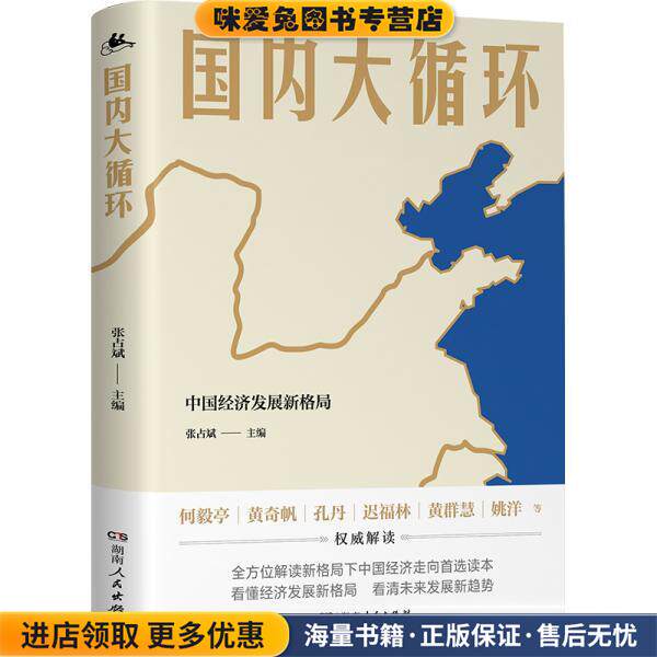 国内大循环(正版收藏品)何毅亭,黄奇帆,姚洋湖南人民出版社9787556125395
