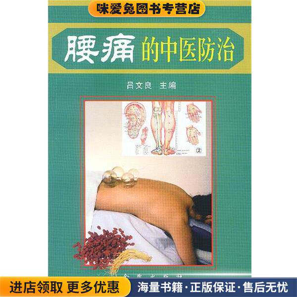 腰痛的中医防治(正版收藏品)吕文良 主编,刘绍能 等编著金盾出版社9787508224800