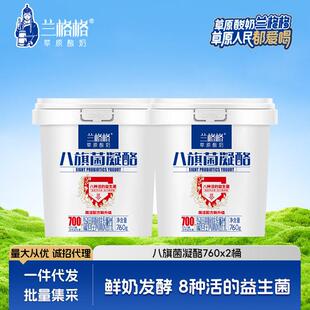 兰格格酸奶八旗菌凝酪760g2桶内蒙纯酪0蔗糖凝固雪原乳业草原酸奶