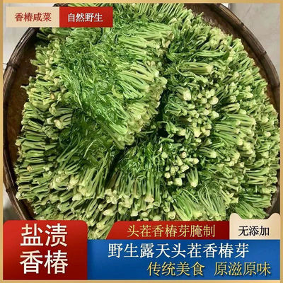 山东头茬香椿芽咸菜新鲜农家腌制咸香椿盐渍香椿芽山东特产下饭菜