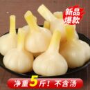 大蒜头糖醋腌制咸菜泡菜批发新鲜饭菜大蒜酸甜包装 即食肠类玉米肠