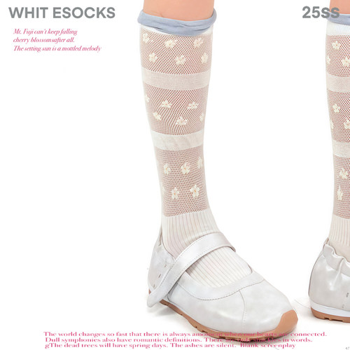 WHITE SOCKS夏季白色花边棉纱花朵小腿袜甜美镂空棉质中筒堆堆袜