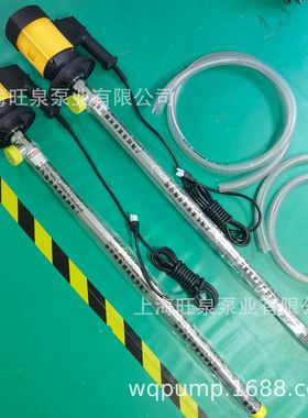 旺泉HD-E2-V-SS304-1000 3A卫生级抽桶泵、电动抽液泵、304油桶泵