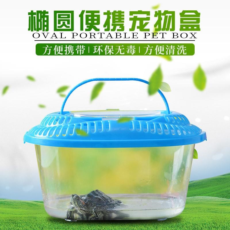 现货速发供应中号简易型塑料小鱼缸 塑料乌龟缸 小爬虫盒子塑料盒