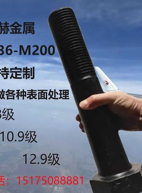 速发螺强度特大特粗外六角高丝螺栓加长螺杆M48M52M56m76M100M200