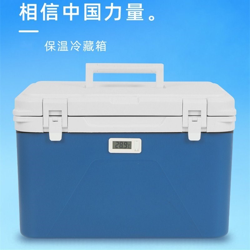 现货速发可肩背防潮阴凉保温箱迷你型冷藏保温箱保鲜盒小型夏季带