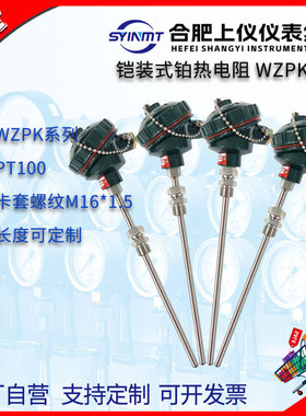 铠装热电阻WZPK-336pt100A级 Φ6*450mm 0~500℃M16*1.5上仪仪表