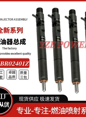 EJBR02401Z喷油器总成33800-4X800 EJBR02901D全新品质