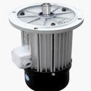 河南卫华0.4KW电机