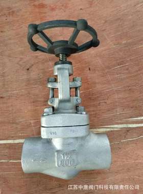 J61Y-800LBRL不锈钢承插焊截止阀 F316L 锻钢承插焊 切断及节流
