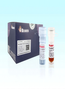 深孔板，96方孔，V底，2.2 mL，配套KingFisher Flex 96