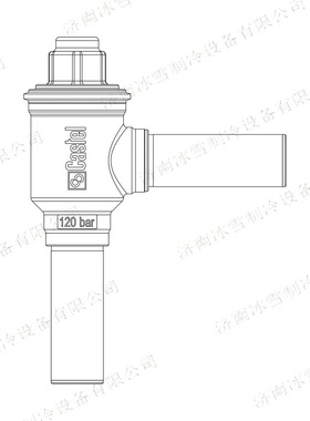 Castel卡士妥止回阀3188EW/M28,直角式止回阀,带不锈钢接头