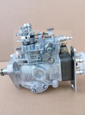 VE泵22100-1C320 发动机燃油泵VE6/10F1900RND315 19600-31538