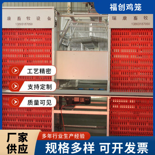 鸡笼子自动清粪阶梯蛋鸡笼设备热镀锌养殖场鸡舍蛋鸡笼