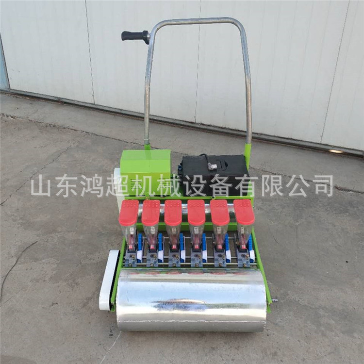 6行汽油白芷点播机苍术白术播种机 自走式蔬菜点播机