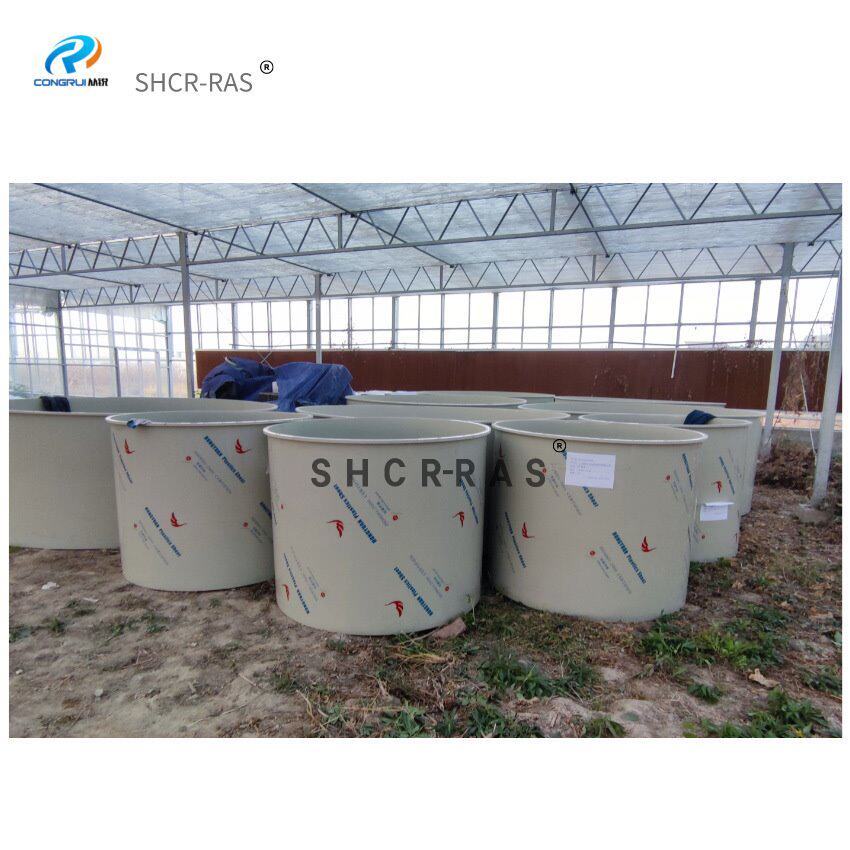 PP材质 水产养殖池 PP鱼池 虾池 海鲜水产品暂养池 室内养殖水池
