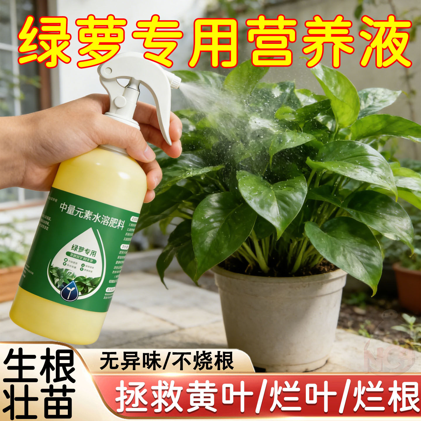 绿萝营养液肥料专用肥植物盆栽绿箩营业液花肥料家用土水培养花用