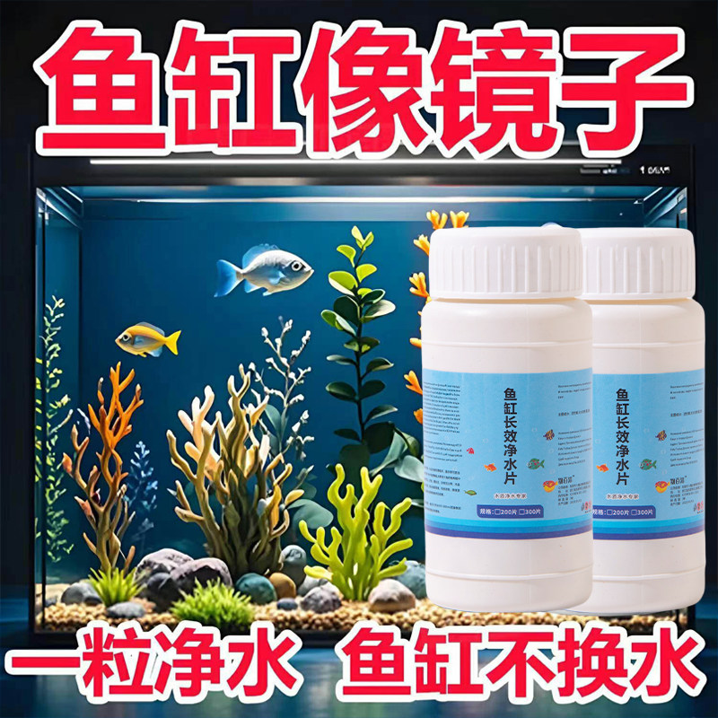 鱼缸净水片硝化细菌去除鱼缸异味净化水质鱼缸去除腥味鱼缸专用