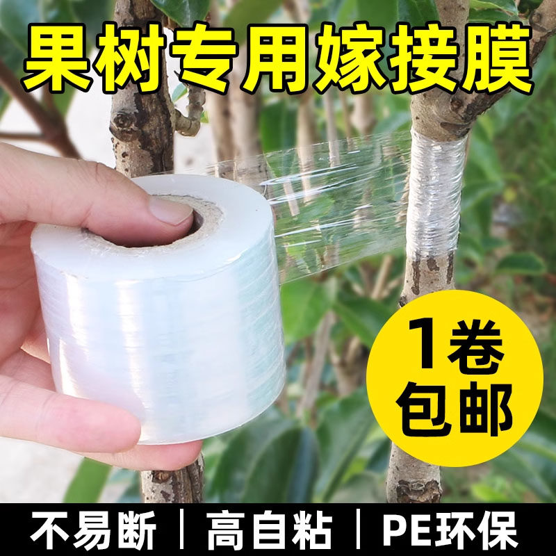 嫁接膜果树专用缠绕膜塑料薄膜免拆园艺剪刀植物移植扦插育苗神器