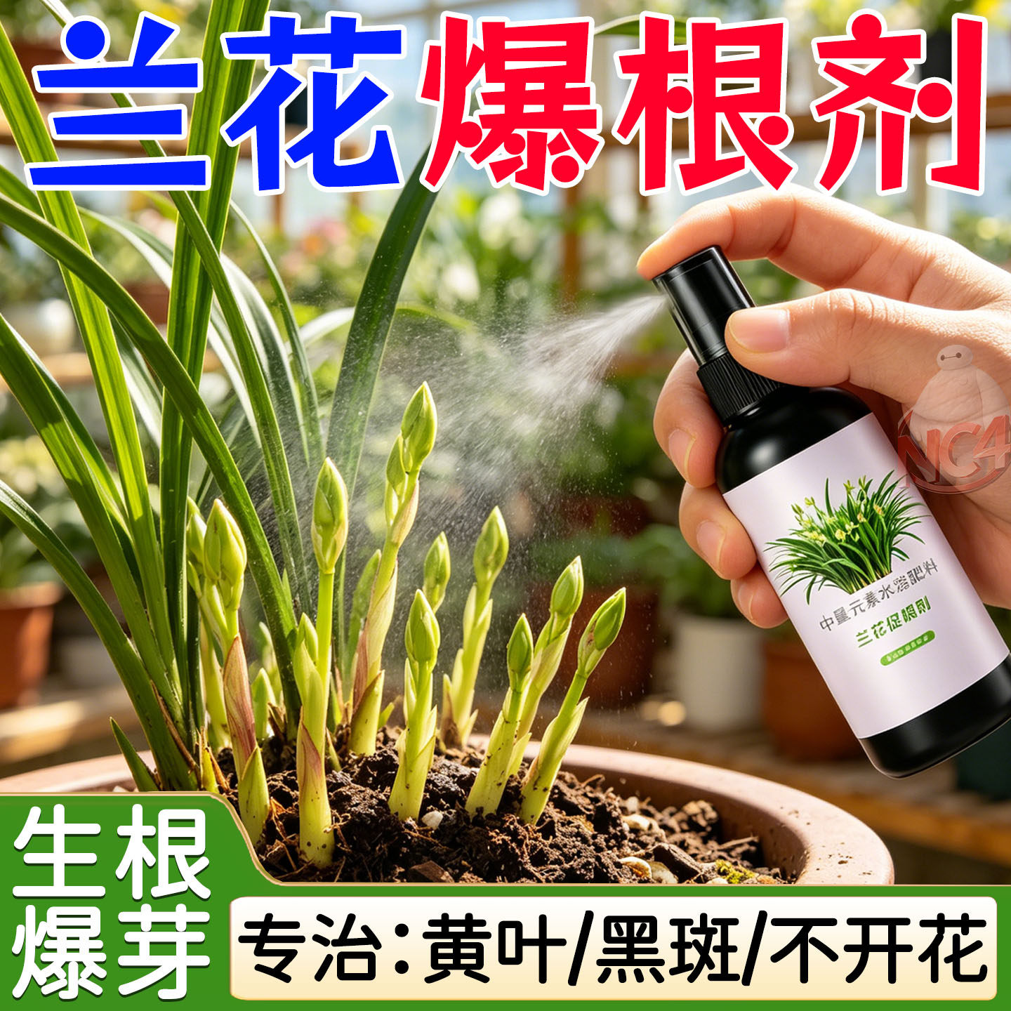 兰花爆根剂壮苗发芽生根粉兰花肥料强效生根液空烂根茎营养液