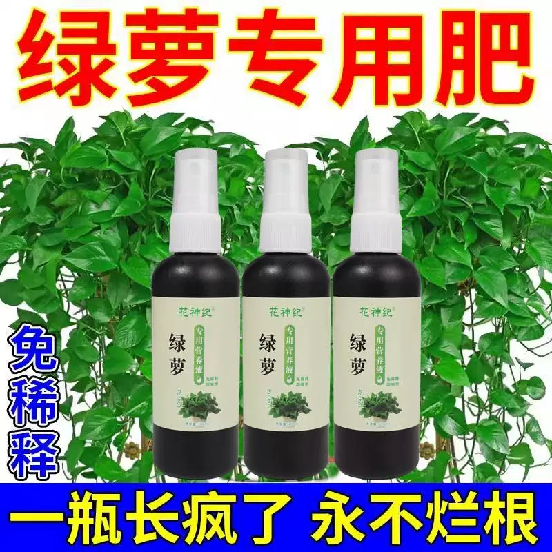 绿萝专用营养液体肥料绿萝护理液