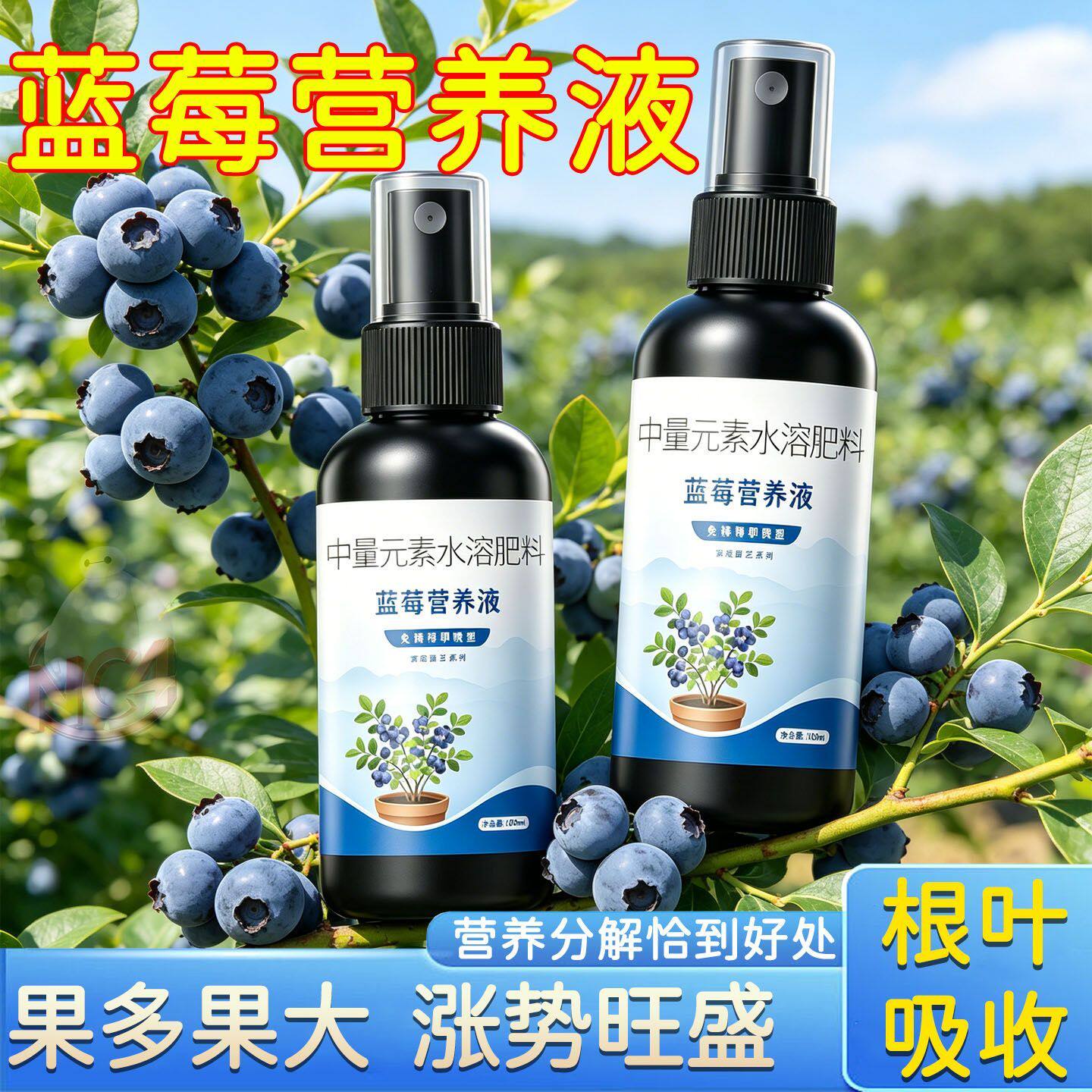 蓝莓水溶营养液促花爆果100ml