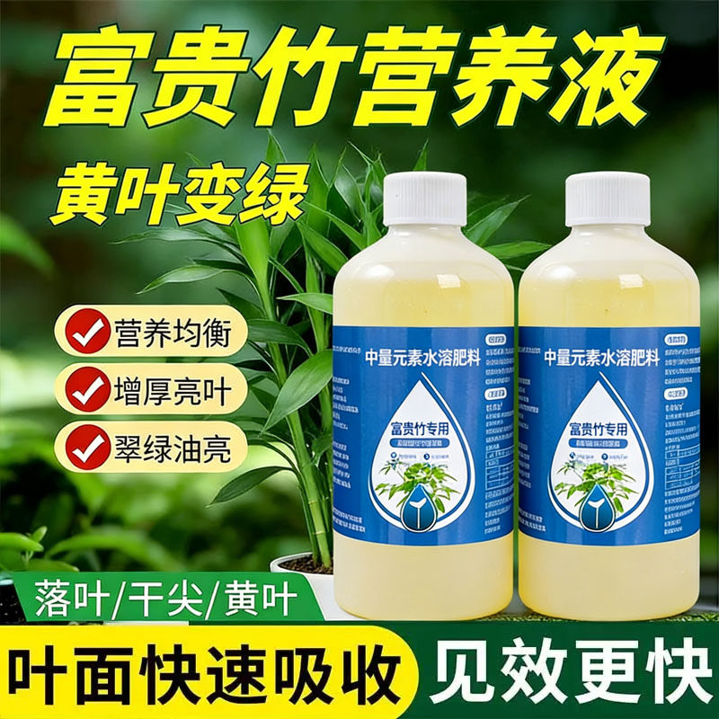 富贵竹专用营养液水培治黄叶促生根转运竹观音竹家用盆栽通用肥料