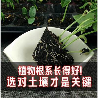 营养土通用60斤养花专用种菜种花土壤有机肥料泥土盆栽通用型