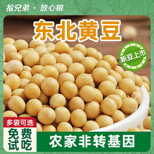 拾兄弟东北黄豆高蛋白非转基因