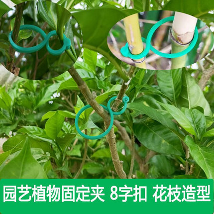 园艺植物固定夹8字扣捆绑捆扎带绑蔓夹卡子捆绑器牵引固定八字环