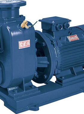 极速。大元BZ自吸离n心泵卧式农用灌溉抽水泵ZW污水泵大流量高杨