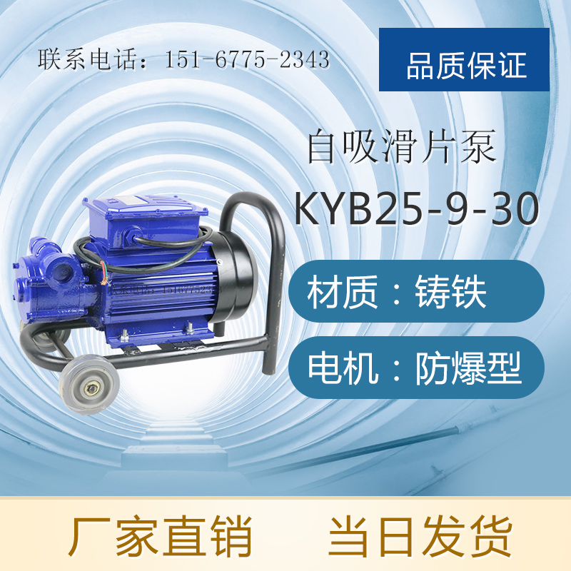 极速KYB-40-20-30防爆滑片泵 380V防爆电动滑板泵 自Z吸式滑片泵