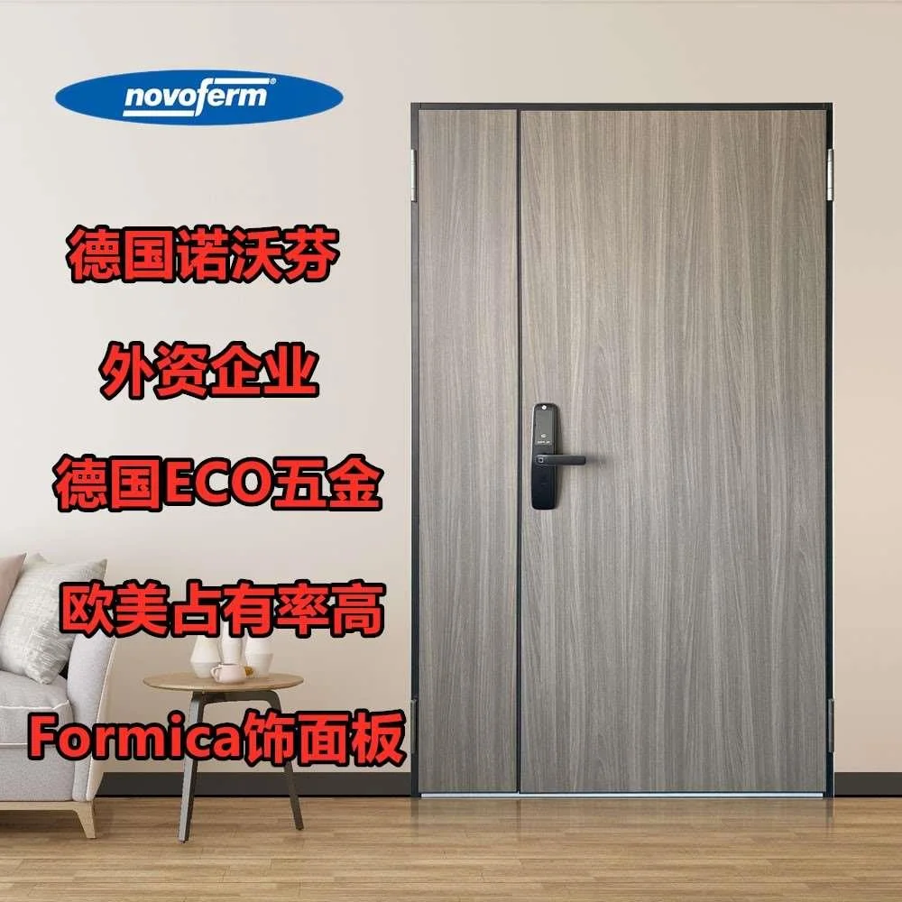 德国诺沃芬 防盗门家用单门入户门门子定做母门简约进户门新品