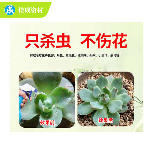 多肉绿植花卉果蔬蚧壳虫专用治介壳虫花卉直喷营养剂剂包邮