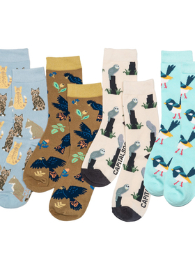 全棉OWL猫头鹰parrot黑凤头葵花鹦鹉蓝鹪鹩小鸟猫cat女袜堪培拉