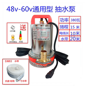 水泵抽水泵电动车电动三轮车48v60v通用型抽水泵小 插在电瓶车上