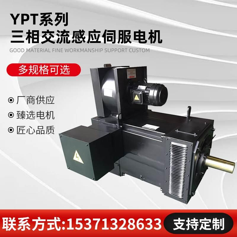 YPT280M-6三相流感应伺服电机，220KW, 750RPM, 3交80V, 33.3Hz