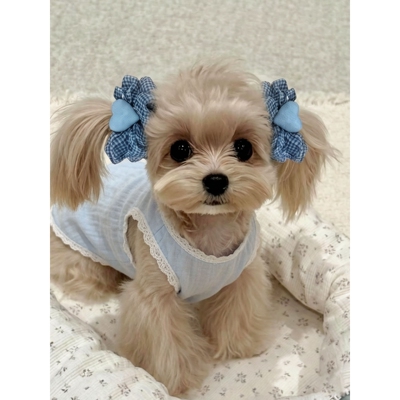 狗狗耳花长耳狗发圈美卡耳套查理王可卡布宠物饰品吃饭防脏毛发绳