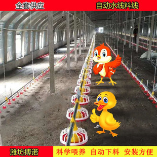 畜牧养殖设备自动料线水线自动投料机散养鸡舍喂料机山东料线厂家