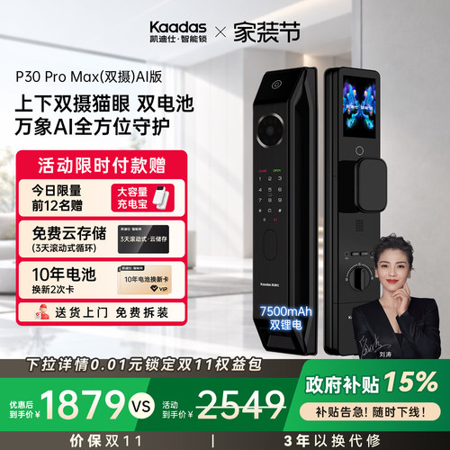 凯迪仕P30ProMax高端智能门锁