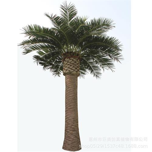 仿真玻璃钢海藻树仿真海枣树酒店花园楼盘装饰假椰子树厂家来图