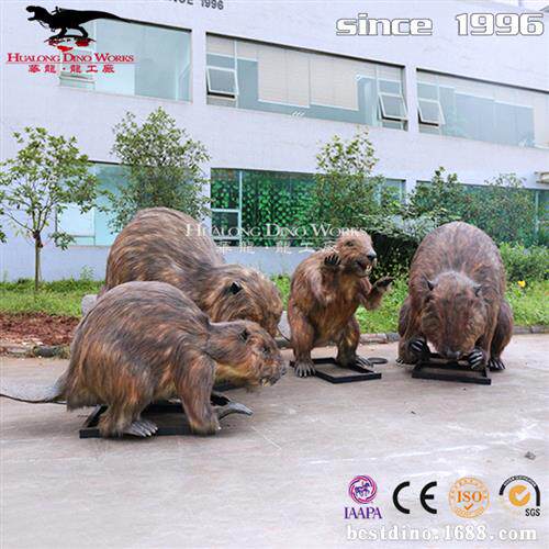 仿真动物土拨鼠特殊产品来图制作自贡大型动物厂家博物馆展览