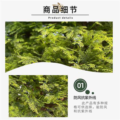 仿真松柏树户外绿化仿真绿植工程装饰水杉树各种假树盆栽加工定制
