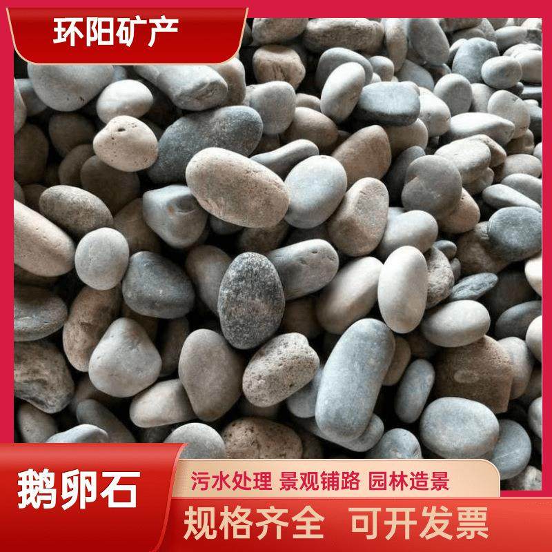 鹅卵石建筑工程铺路园林绿化造景河卵石 变压器