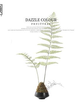 新中式日式侘寂风仿真蕨类金毛狗阙植物盆栽禅意茶楼茶室玄关摆件