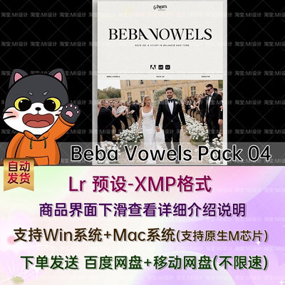 婚庆婚礼写真街拍高级极简人像LR调色预设 Beba Vowels Pack 04
