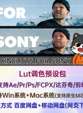 索尼相机电影级调色LUTS预设 Matti Haapoja CINELUTS FOR SONY