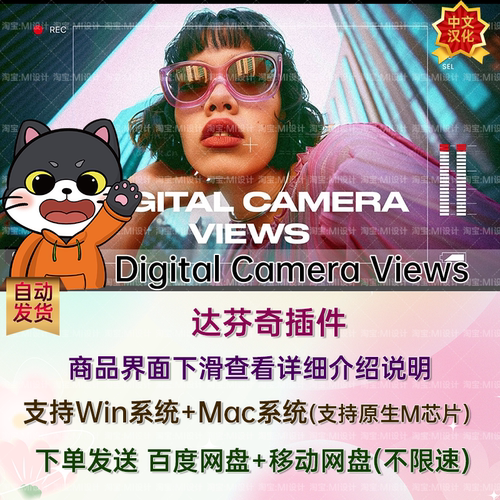 5款数码相机无人机对焦取景器达芬奇插件 Digital Camera Views