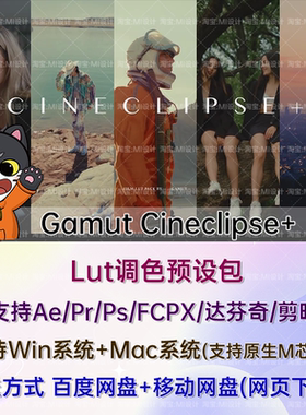 复古柯达500T胶片色彩风格化电影LUT调色预设 Gamut Cineclipse+